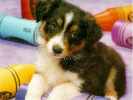 quelle tendresse dans ce regard   !!!